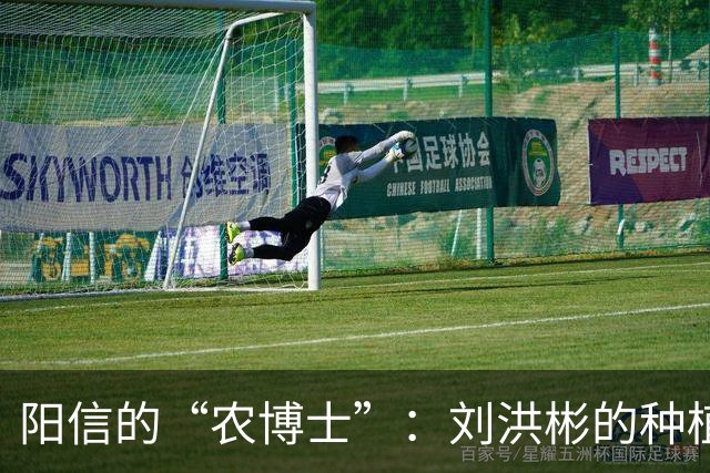 阳信的“农博士”：刘洪彬的种植传奇